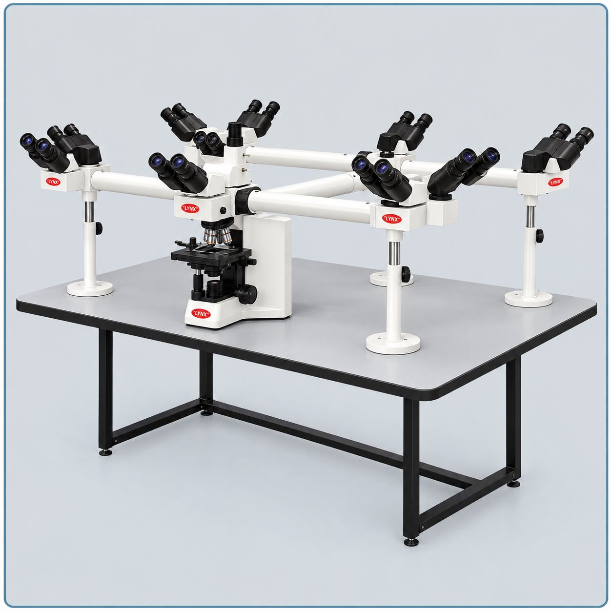 LM-52-6003 Deca Head Microscope