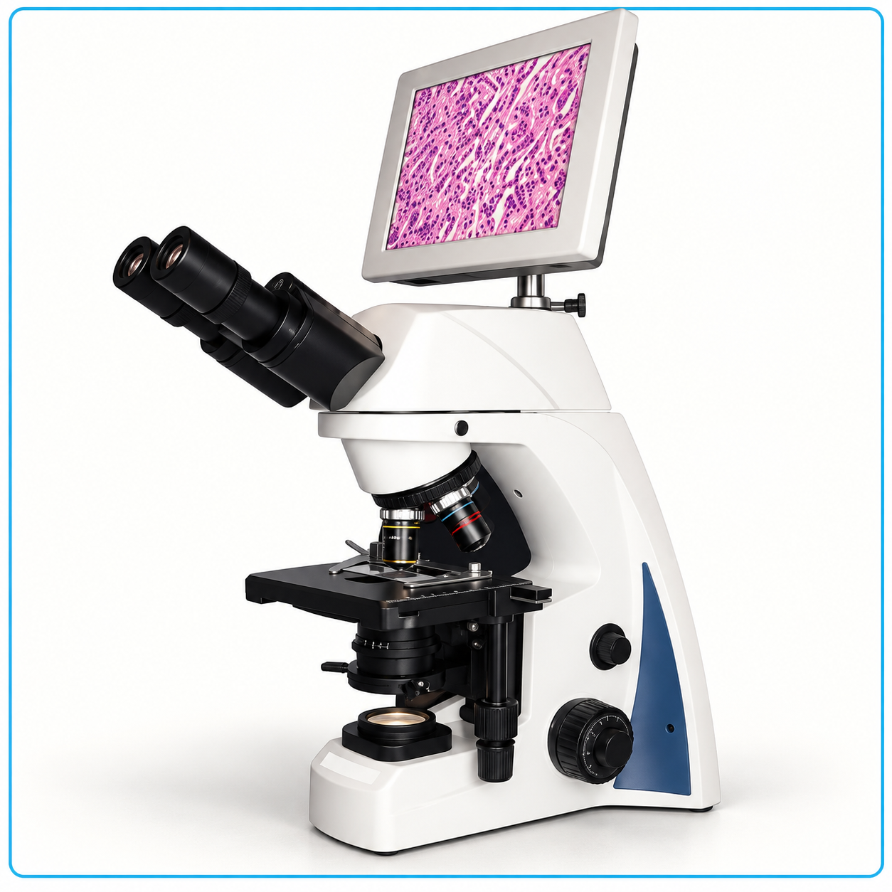 Modern Microscope with Histology Display
